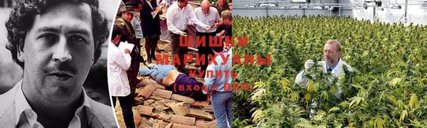 MDMA Богородицк