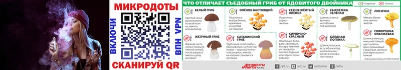 закладка  Свободный  Псилоцибиновые грибы прущие грибы 